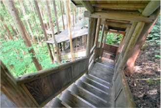 森林浴を楽しみながら谷あいの沢まで続く木の回廊階段