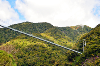 照葉樹林に覆われた山並み架かる全長２５０ｍの照葉大吊り橋。